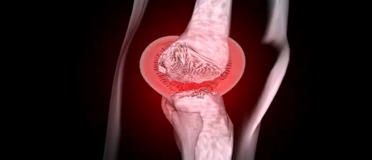 Orthopädische Gemeinschaftspraxis
